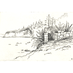 773 An der Küste von Aegina 8x12cm