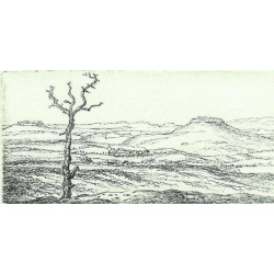 343 Blick vom Papststein 6x12cm