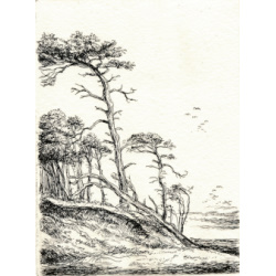 726 Windbruch am Weststrand 10x7,5cm